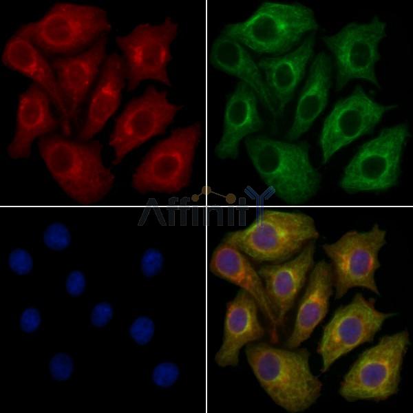 Валидация Affinity DF3992 - 15228