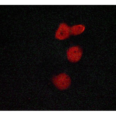 Валидация Affinity AF6030 - 3229