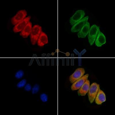 Валидация Affinity DF9168 - 21528