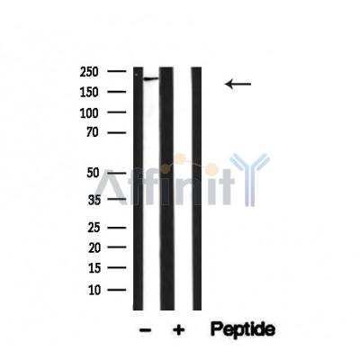 Валидация Affinity AF4726 - 2343