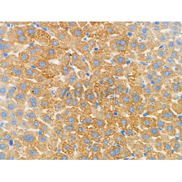 Валидация Affinity DF4411 - 15904