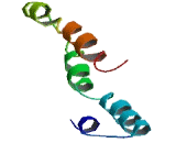 Olfactory Receptor 6A2 (OR6A2) Olfactory Receptor 6A2 (OR6A2)