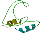 Surfactant Associated Protein B (SPB)