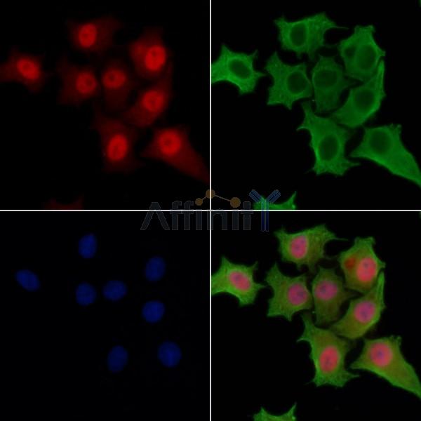 Валидация Affinity AF6494 - 3829