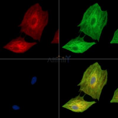 Валидация Affinity DF15250 - 11529