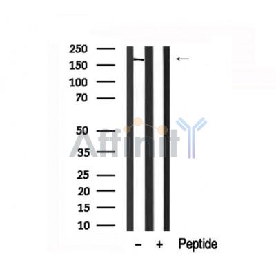 Валидация Affinity AF7670 - 4351