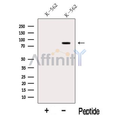 Валидация Affinity DF13132 - 8062