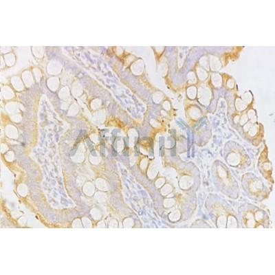 Валидация Affinity AF5138 - 2527