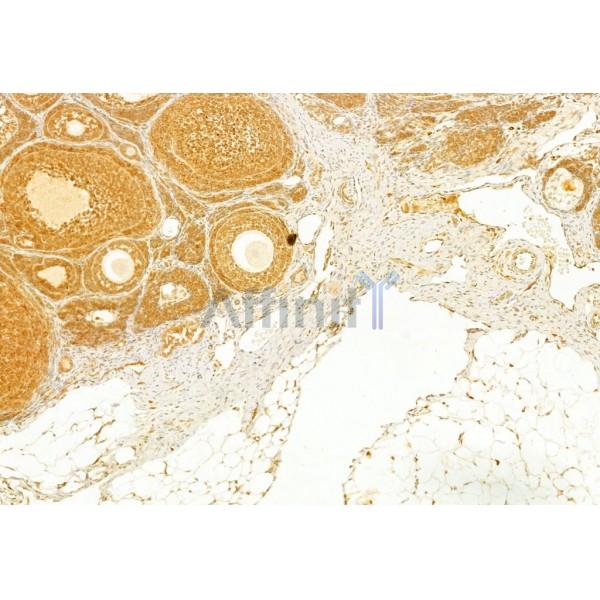 Валидация Affinity AF5343 - 2933