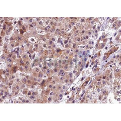 Валидация Affinity DF7576 - 19339