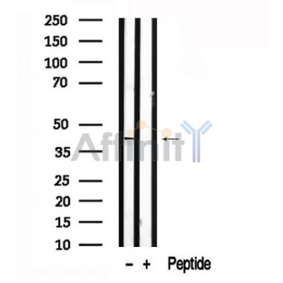 Валидация Affinity AF7587 - 4253