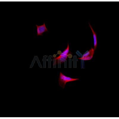 Валидация Affinity DF3087 - 13835