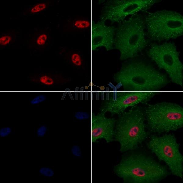 Валидация Affinity AF9022 - 4752