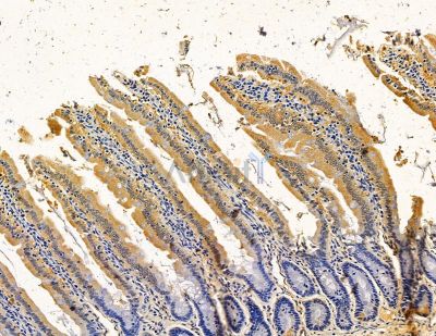 Валидация Affinity DF14991 - 11195