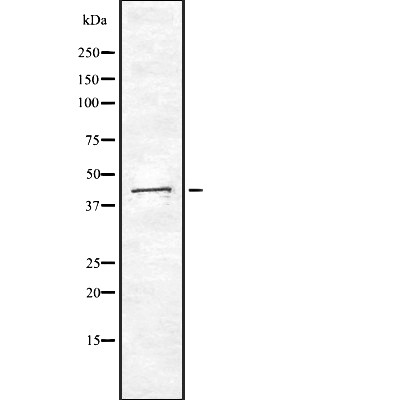 Валидация Affinity DF7930 - 19763