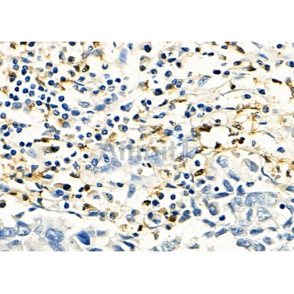 Валидация Affinity DF8514 - 20377