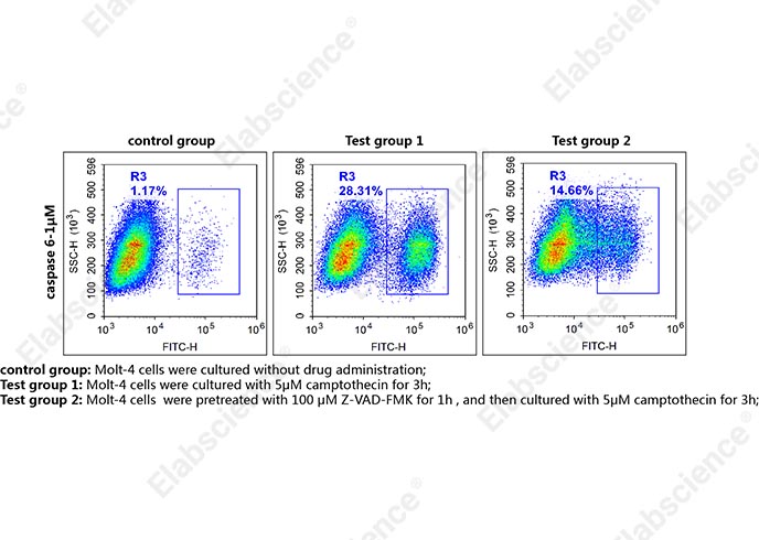 Валидация Elabscience E-CK-A486 - 161