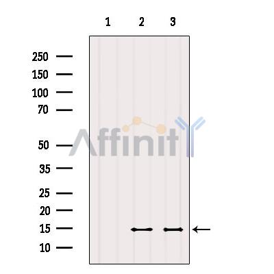 Валидация Affinity DF8810 - 20860