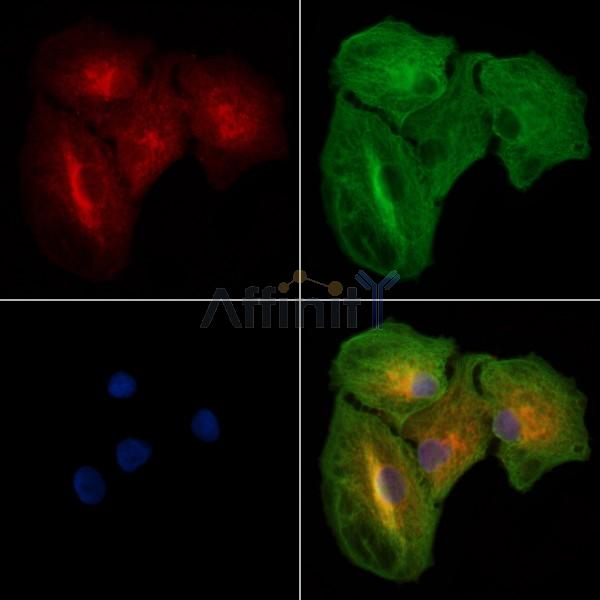 Валидация Affinity DF7273 - 18941