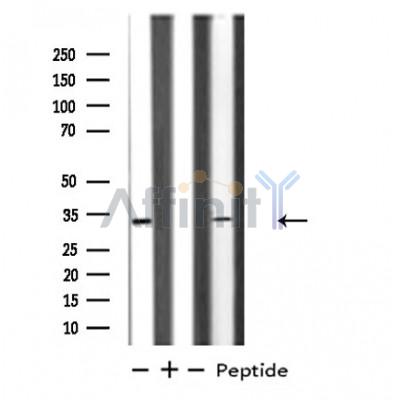 Валидация Affinity DF4812 - 16560