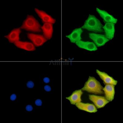 Валидация Affinity DF14627 - 10656