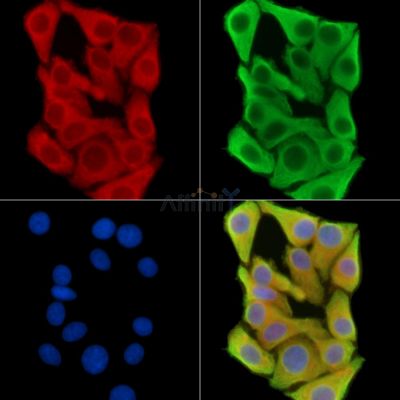 Валидация Affinity DF15032 - 11245