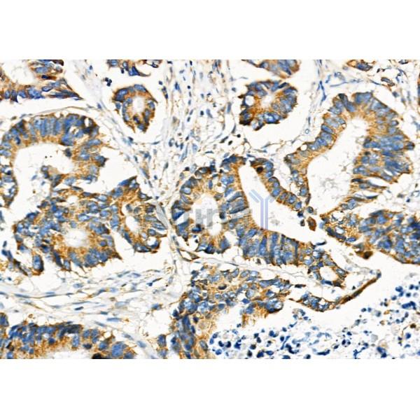 Валидация Affinity DF6421 - 17793