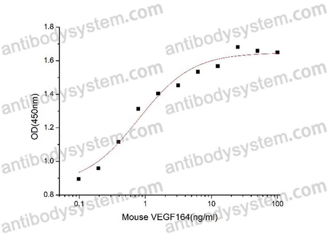 Валидация активности AntibodySystem AMD12601