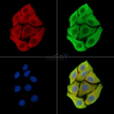 Валидация Affinity DF15284 - 11576