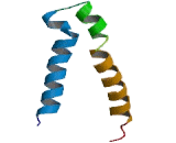 Gamma-Aminobutyric Acid A Receptor Rho 1 (gABRr1) Gamma-Aminobutyric Acid A Receptor Rho 1 (gABRr1)