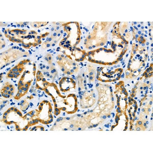 Валидация Affinity DF7867 - 19684