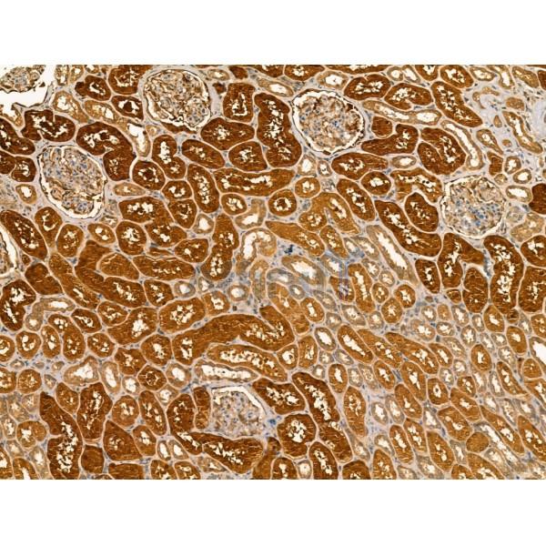 Валидация Affinity DF13269 - 8363