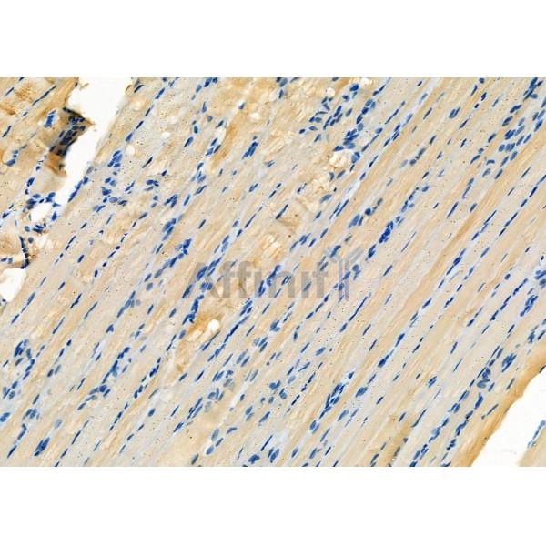 Валидация Affinity DF6306 - 17624