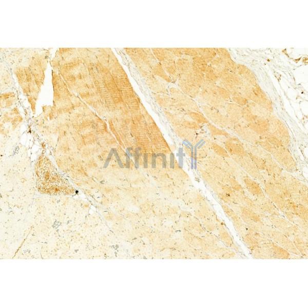 Валидация Affinity DF7742 - 19545