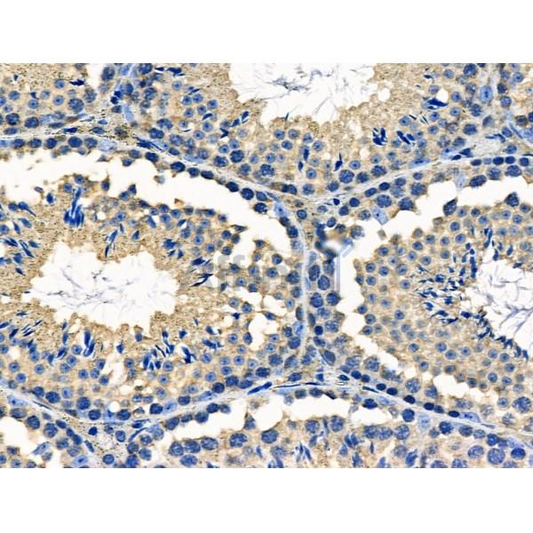 Валидация Affinity DF2700 - 13412