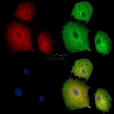 Валидация Affinity DF14253 - 10106