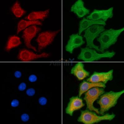 Валидация Affinity DF6444 - 17826