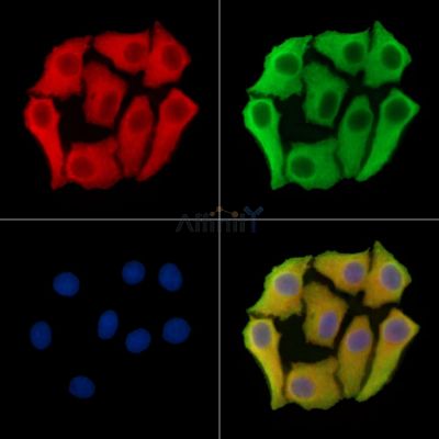 Валидация Affinity DF14810 - 10913