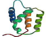 S100 Calcium Binding Protein Z (S100Z)