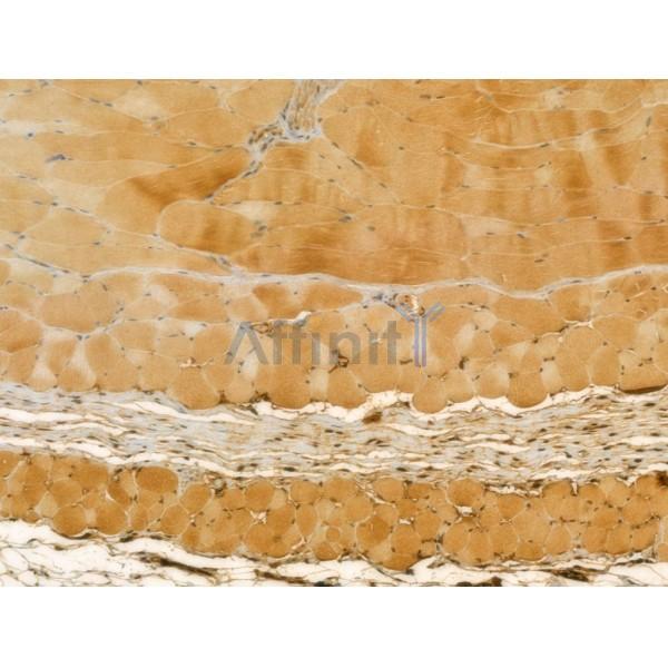 Валидация Affinity DF12188 - 6422