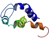 Chemokine Like Factor Superfamily 6 (CKLFSF6) Chemokine Like Factor Superfamily 6 (CKLFSF6)