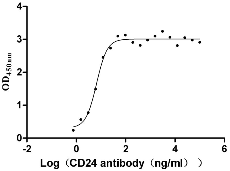 Функциональный ИФА: связывание рекомбинантного CD24 с антителом к CD24