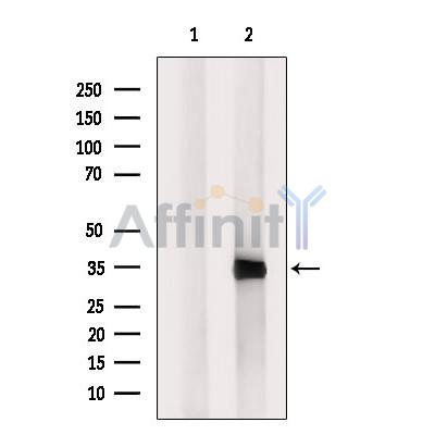 Валидация Affinity DF6221 - 17500