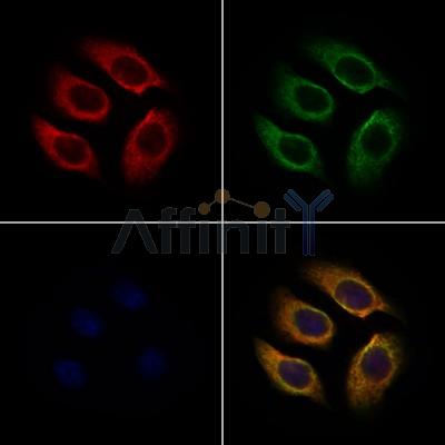 Валидация Affinity DF3988 - 15221