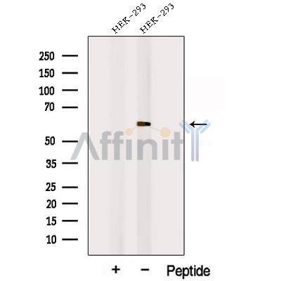 Валидация Affinity DF12702 - 7362