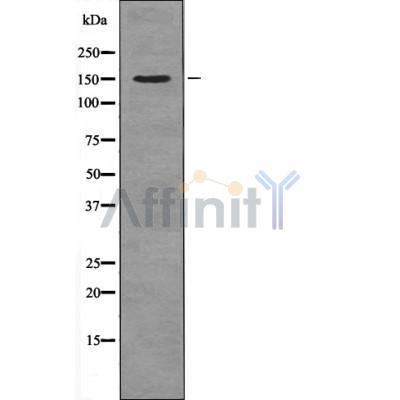 Валидация Affinity DF8449 - 20328