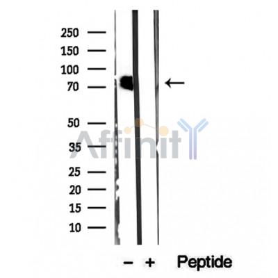 Валидация Affinity DF12258 - 6582