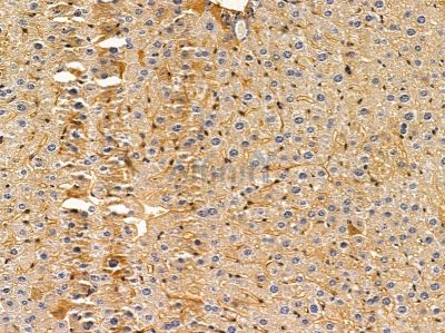 Валидация Affinity DF10259 - 5856