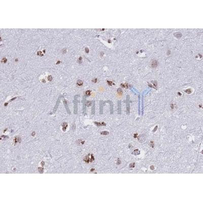 Валидация Affinity AF5191 - 2632