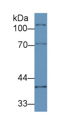 8825